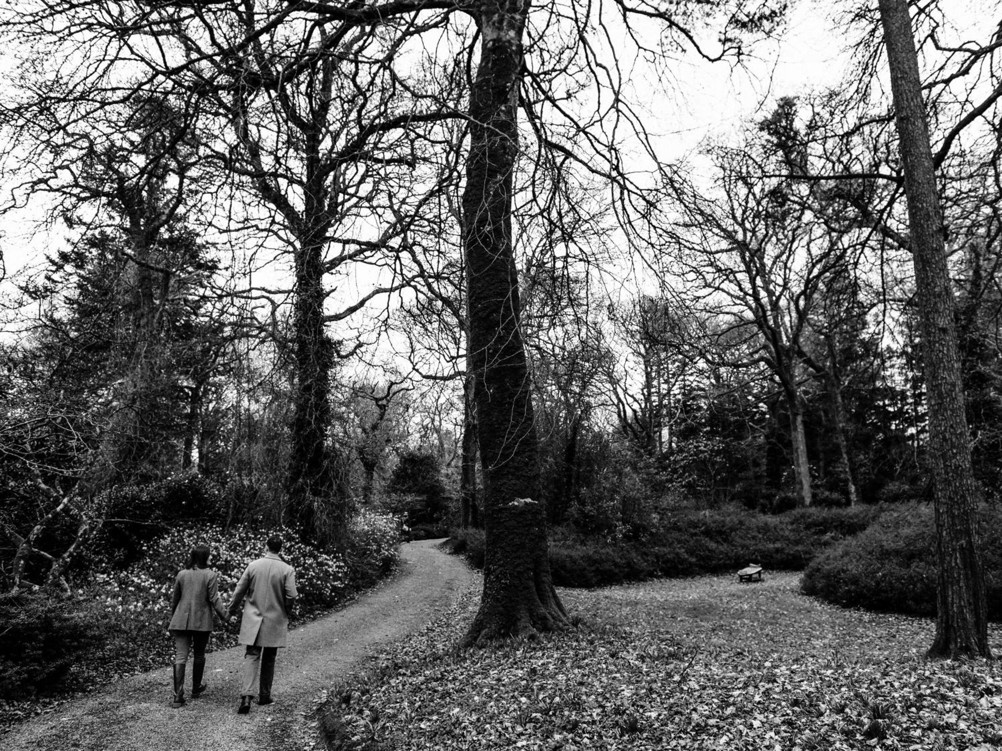 The Forest At Mount Congreve Gardens Kilmeaden Eksteriør billede